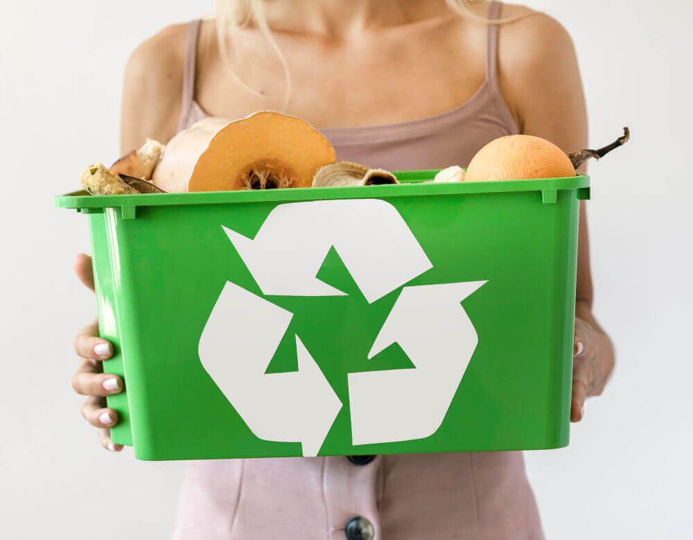 lixo orgânico e reciclável