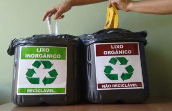 Lixo orgânico e inorgânico